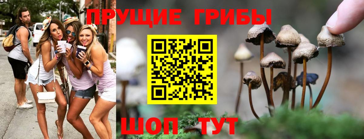 Галлюциногенные грибы MAGIC MUSHROOMS  Галлюциногенные грибы Psilocybine cubensis  Магнитогорск  Вход с VPN 